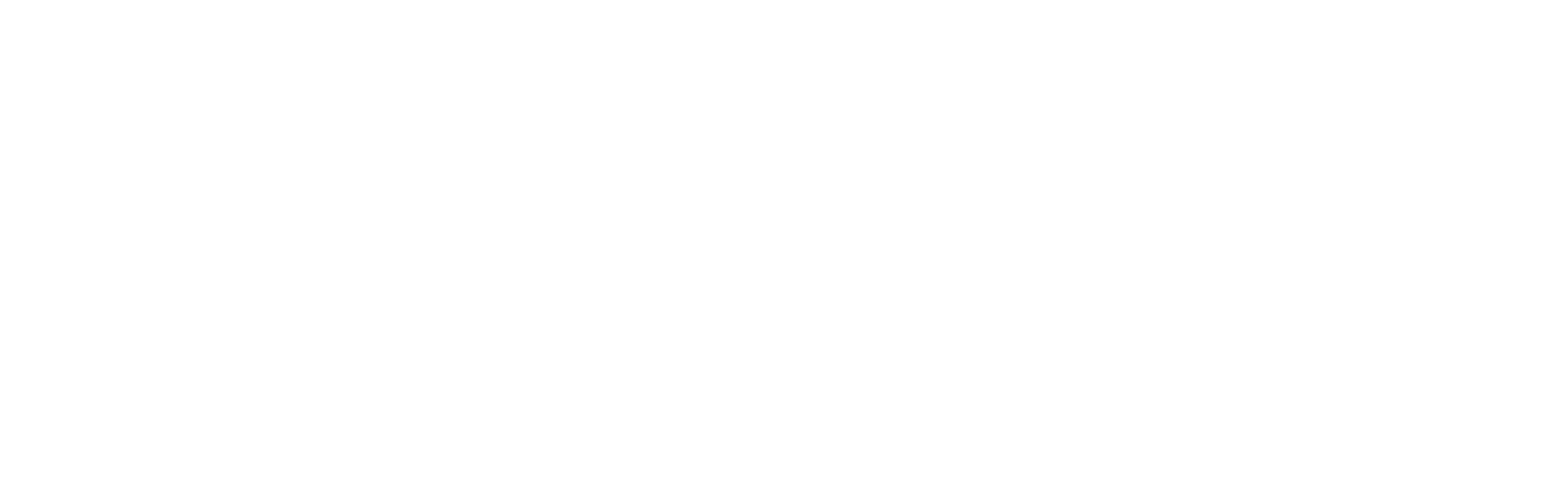 footerLogoImage